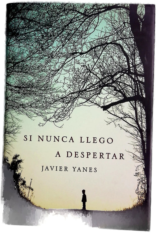 Si nunca llego a despertar