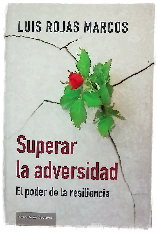 Superar la adversidad el poder de la resiliencia