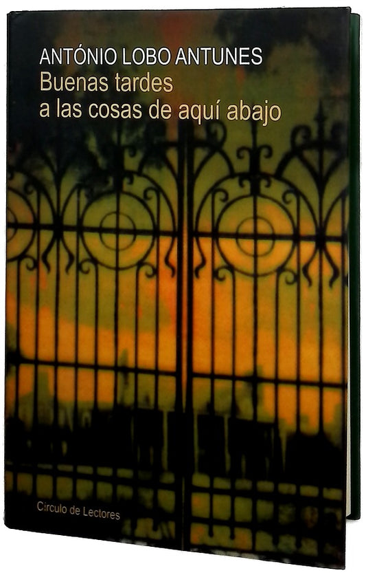 Buenas tardes a las cosas de aquí abajo
