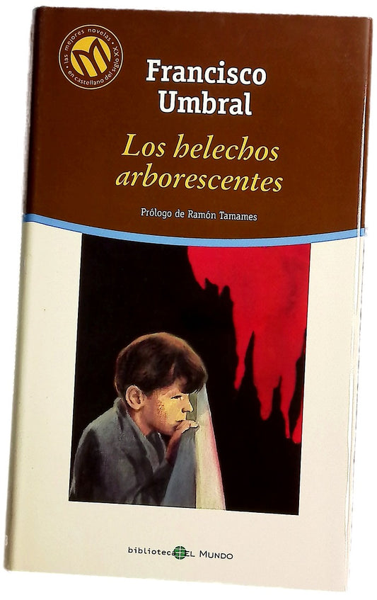 Los helechos arborescentes 