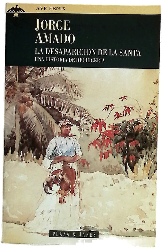 La desaparición de la santa : una historia de hechicería