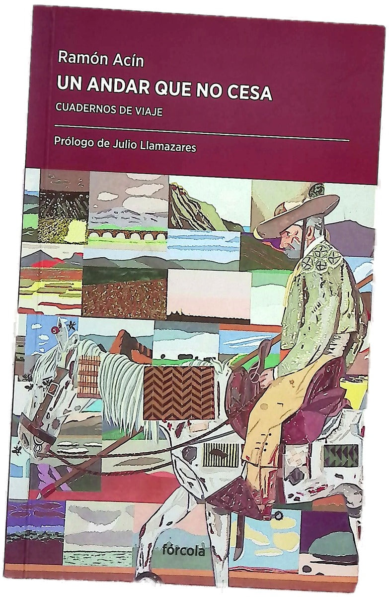Un andar que no cesa : cuadernos de viaje