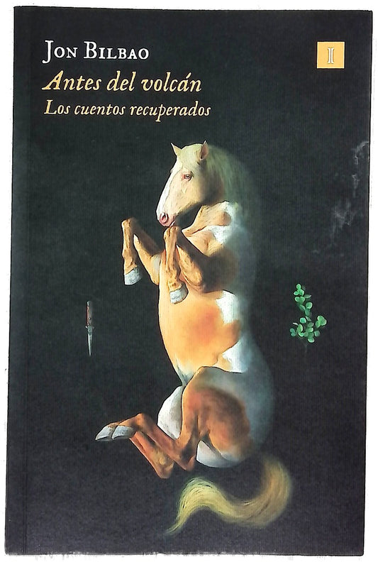 Antes del volcán