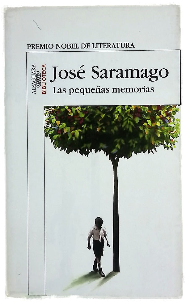 Las pequeñas memorias