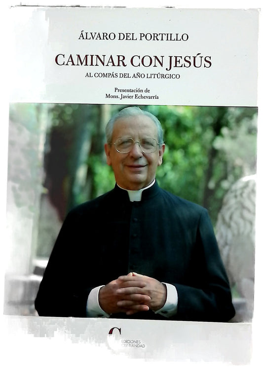 Caminar con Jesús : al compás del año litúrgico : textos tomados de las cartas pastorales