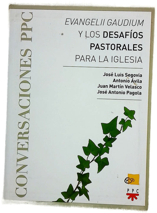 "Evangelii Gaudium" y los desafíos pastorales para la Iglesia