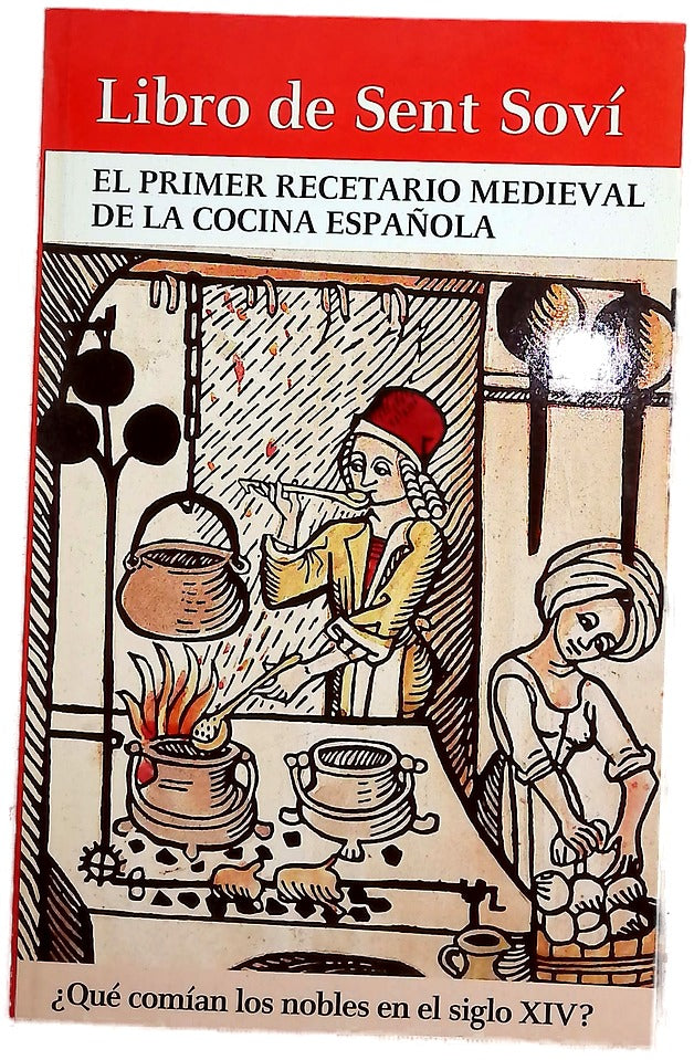 Libro de Sent Soví