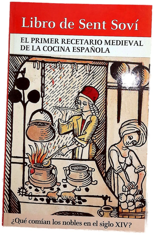 Libro de Sent Soví