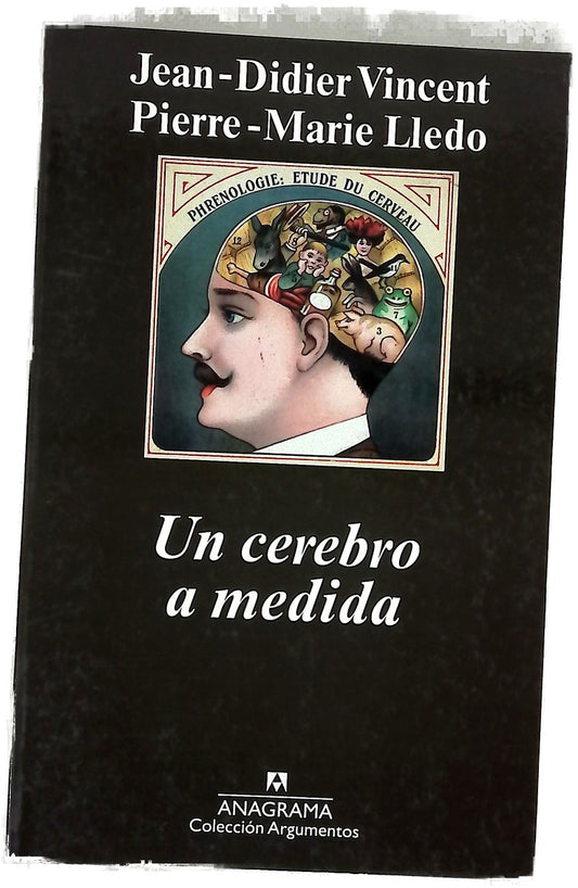 Un cerebro a medida