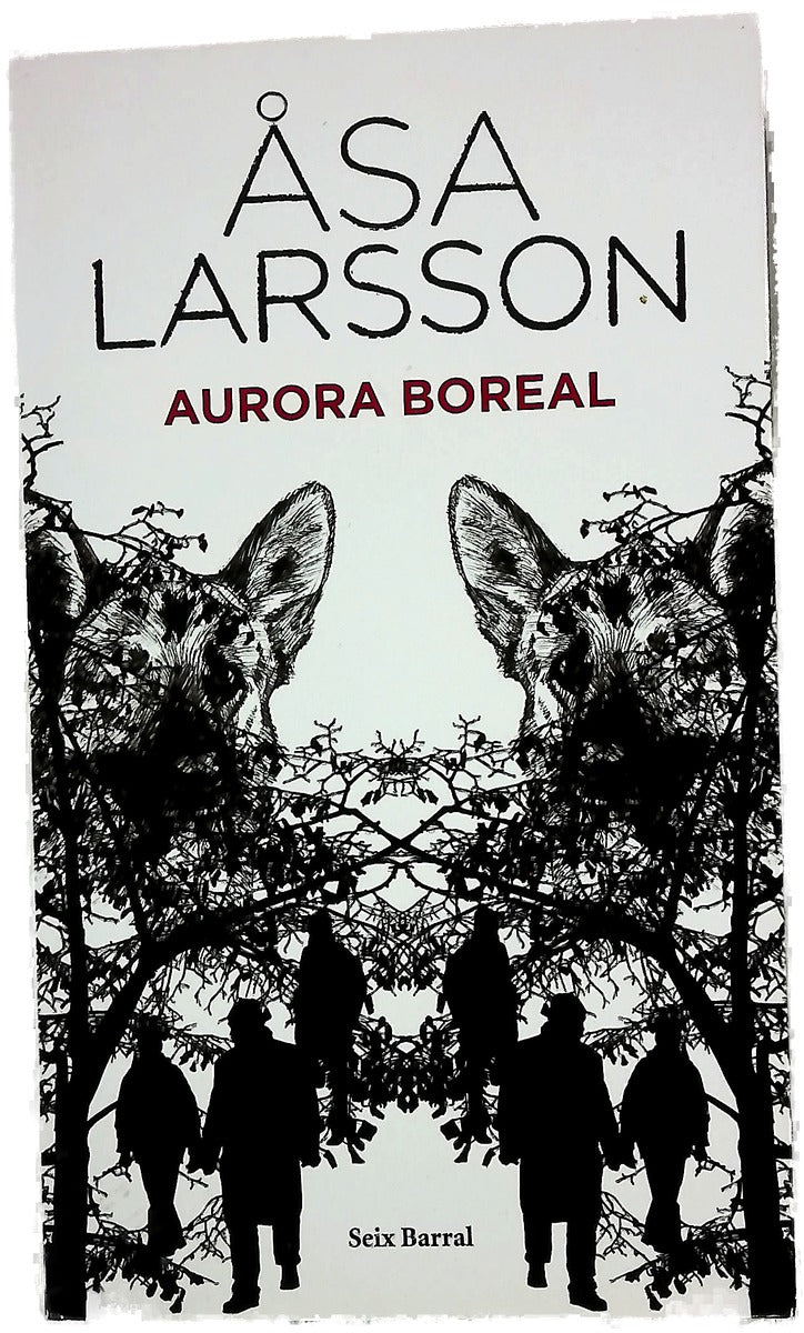 Aurora boreal