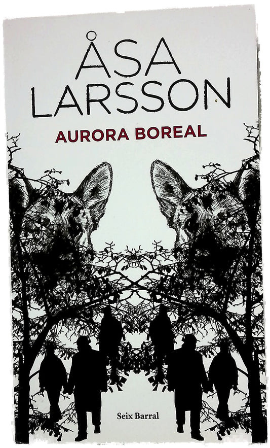 Aurora boreal