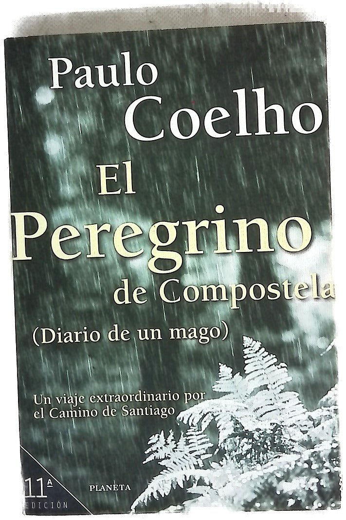El peregrino de Compostela (diario de un mago)