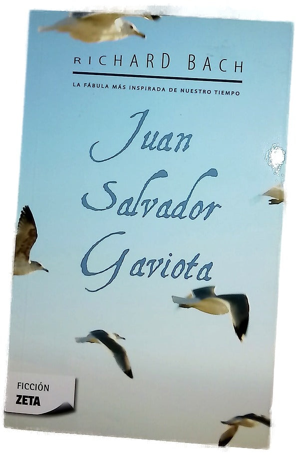 Juan Salvador Gaviota