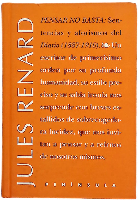 Pensar no basta