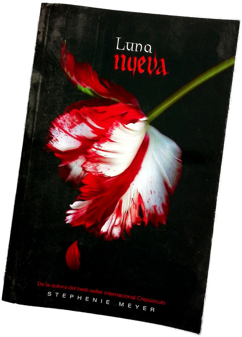 Luna nueva