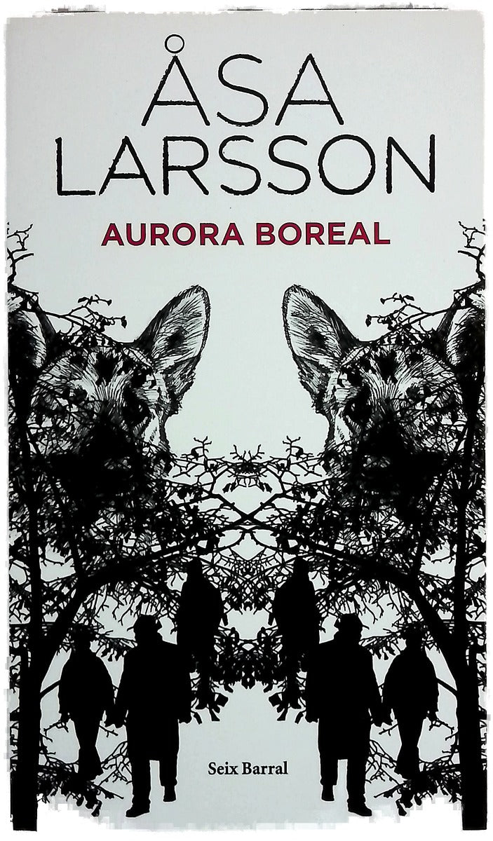 Aurora boreal