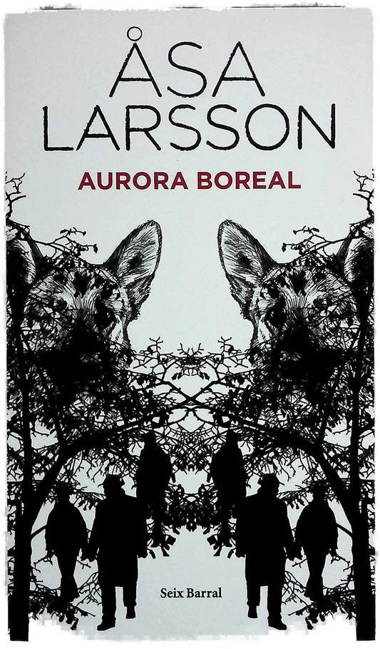 Aurora boreal