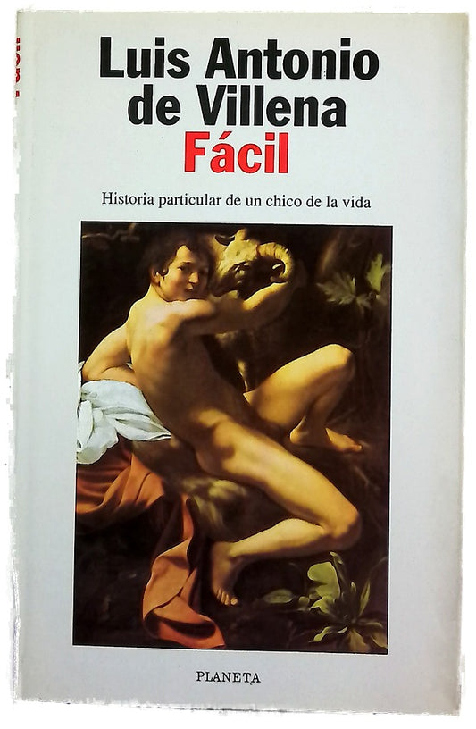 Fácil historia particular de un chico de la vida