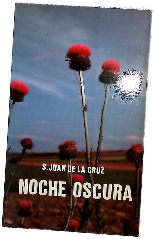 Noche oscura