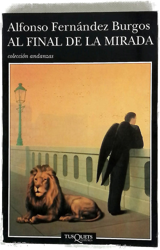 Al final de la mirada