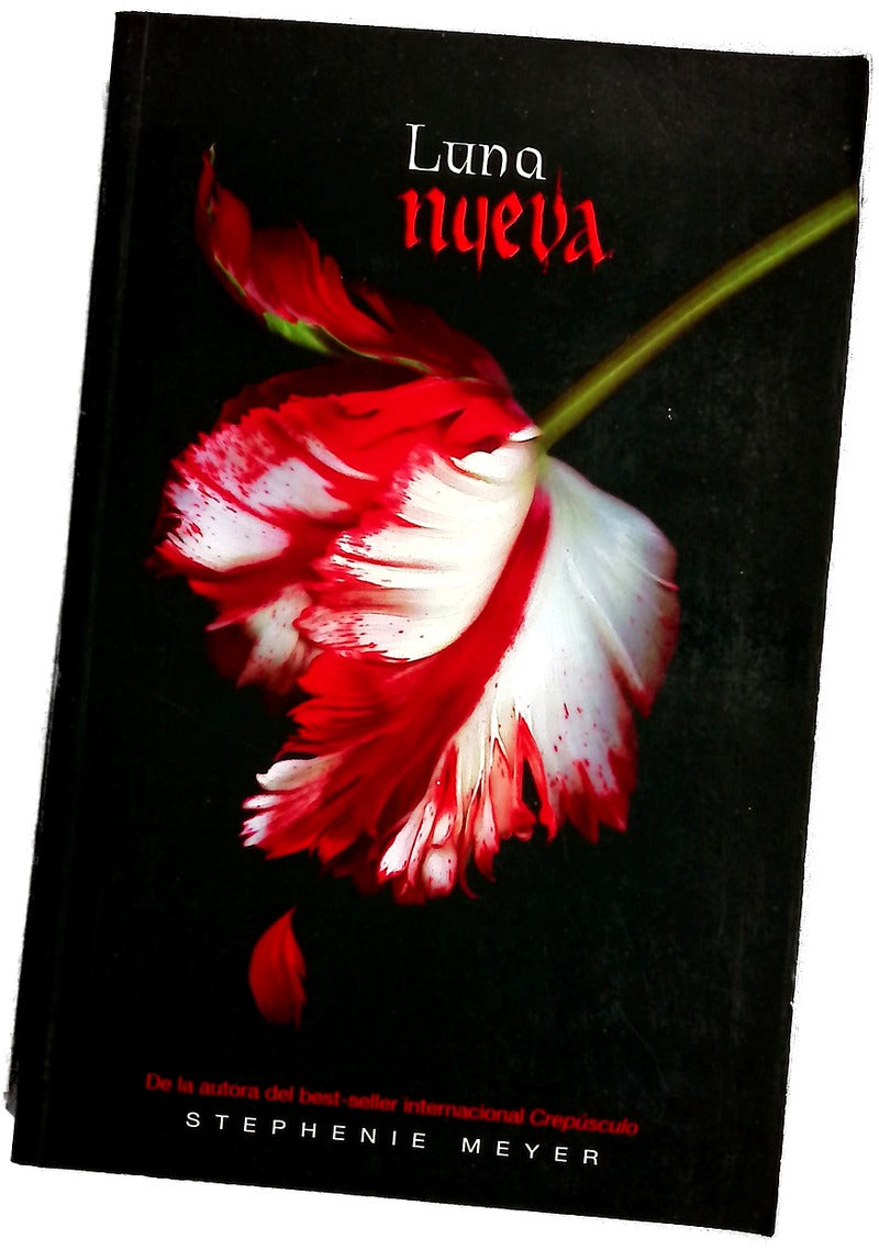 Luna nueva