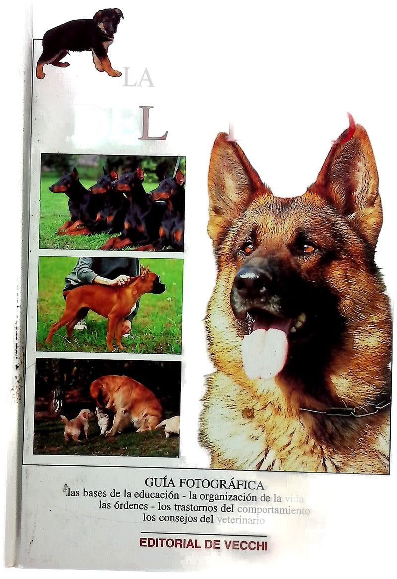La educación del perro