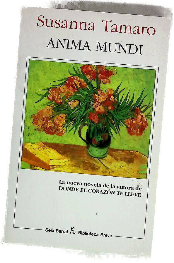 Anima mundi