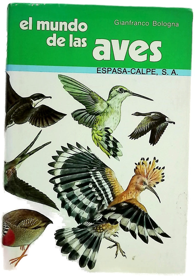 El Mundo De Las Aves/the World of Birds