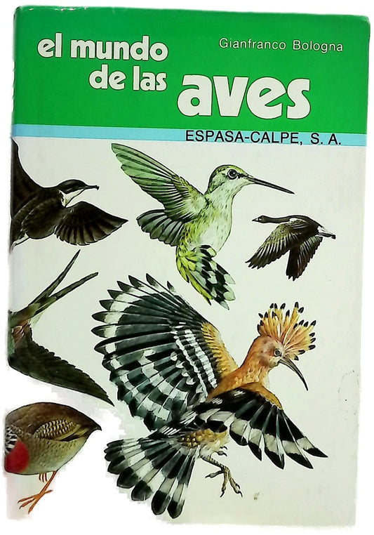 El Mundo De Las Aves/the World of Birds