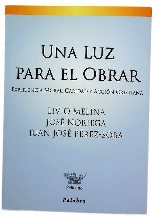 Una luz para el obrar experiencia moral, caridad y acción cristiana