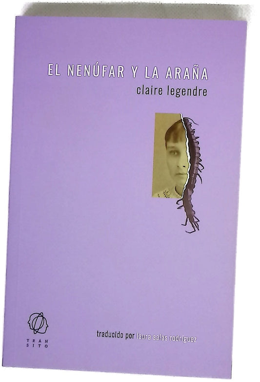 El nenúfar y la araña