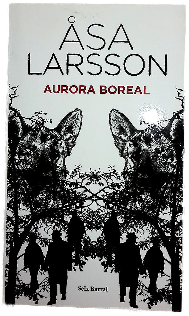 Aurora boreal