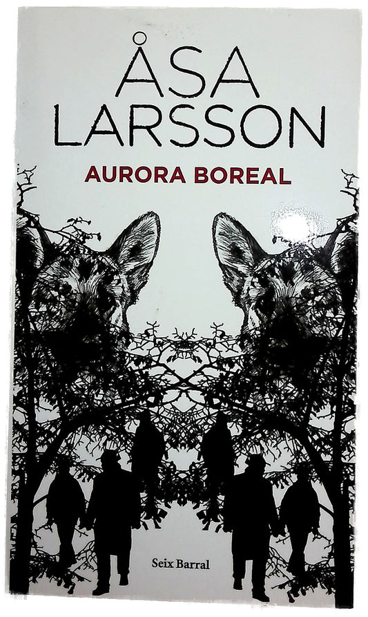 Aurora boreal