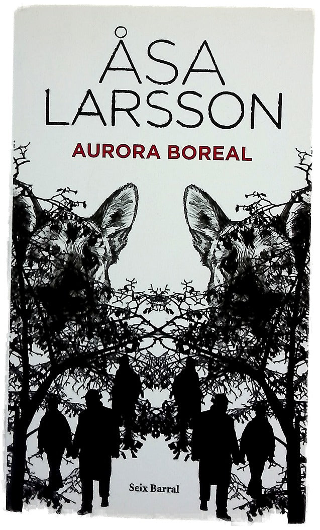 Aurora boreal