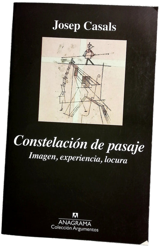 Constelación de pasaje : imagen, experiencia, locura