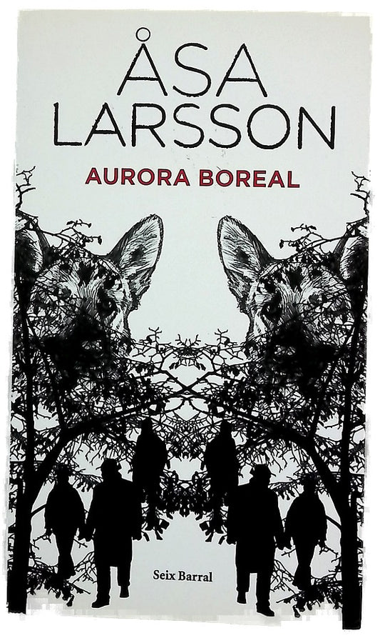 Aurora boreal