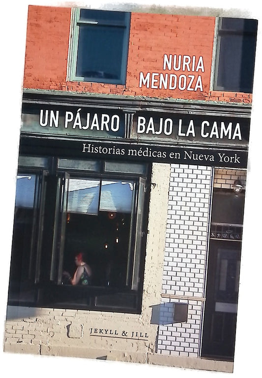 El Mensajero de San Antonio de Padua revista mensual ilustrada