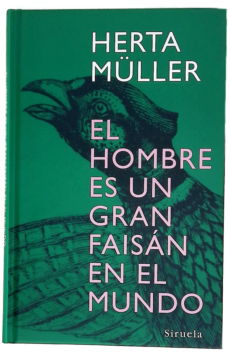 El hombre es un gran faisán en el mundo