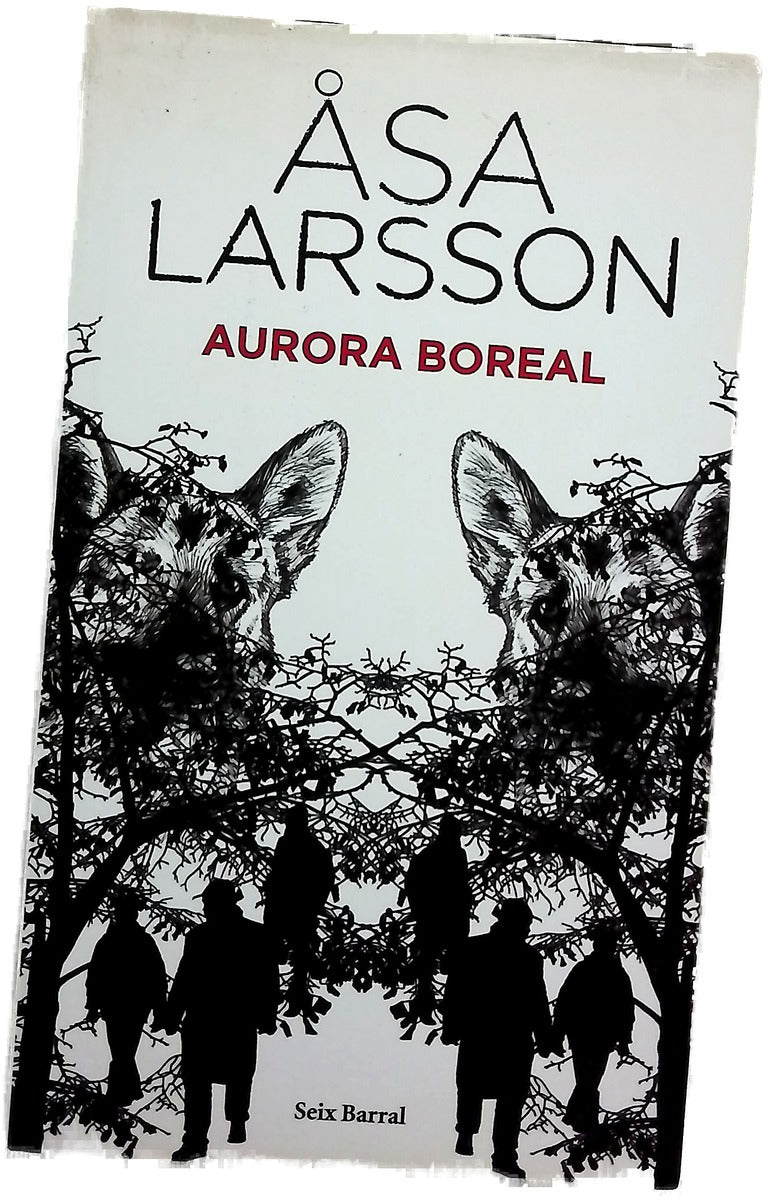 Aurora Boreal