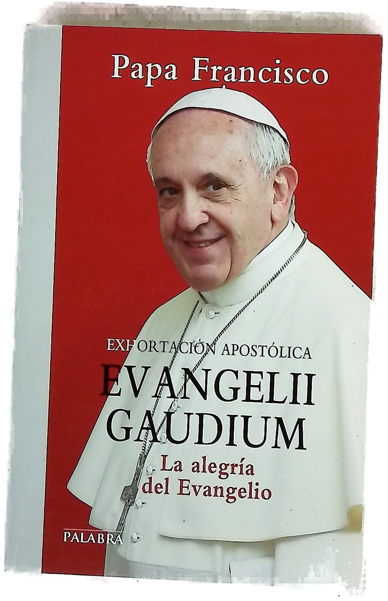 Exhortación apostólica "Evangelii gaudium" del Santo Padre Francisco a los obispos, a los presbíteros y diáconos, a las personas consagradas y a los fieles laicos sobre el anuncio del evangelio en el mundo actual