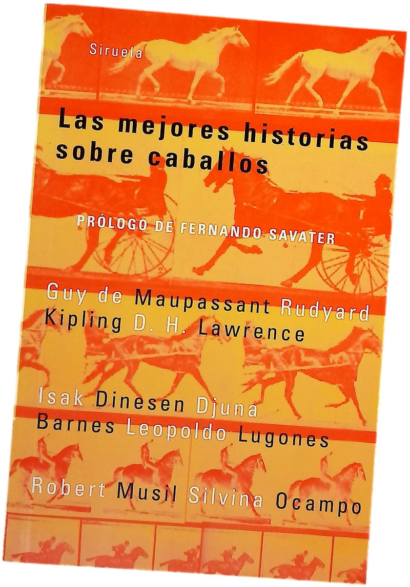 Las mejores historias sobre caballos