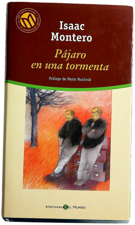 Pájaro en una tormenta
