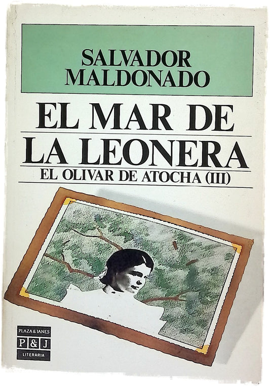 El mar de la leonera