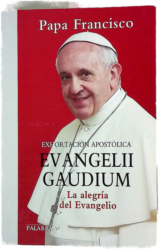 Exhortación apostólica "Evangelii gaudium" del Santo Padre Francisco a los obispos, a los presbíteros y diáconos, a las personas consagradas y a los fieles laicos sobre el anuncio del evangelio en el mundo actual