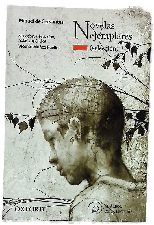 Novelas ejemplares (selección)