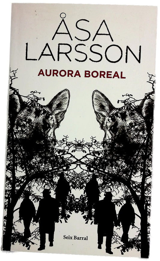 Aurora boreal