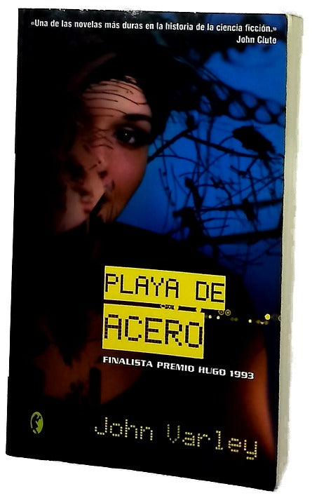 Playa de acero
