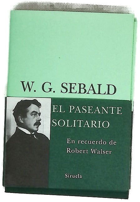 El paseante solitario en recuerdo de Robert Walser