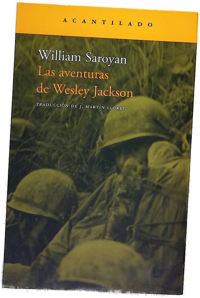 Las aventuras de Wesley Jackson