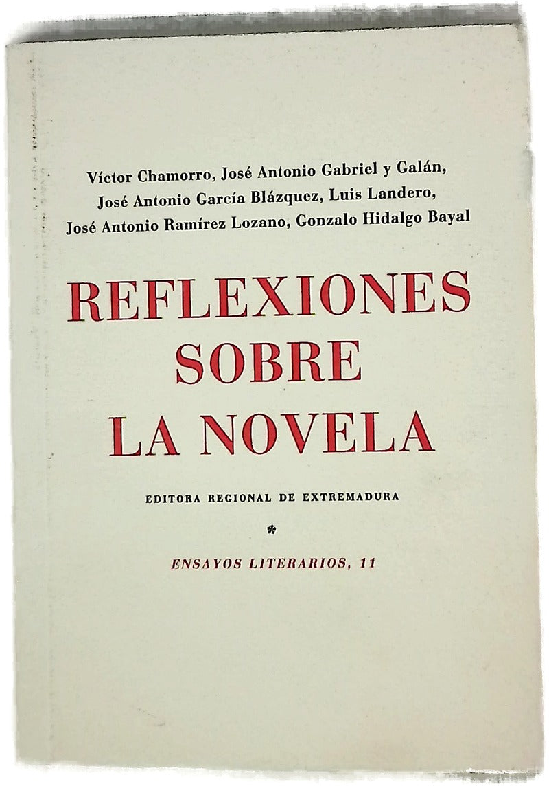 Reflexiones sobre la novela